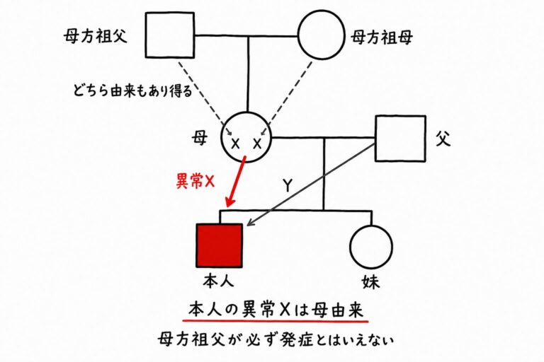 X連鎖潜性（劣性）遺伝のシェーマ